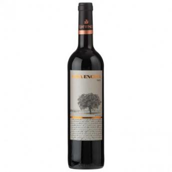 Elvi Vina Encina Red (750ml) (750ml)